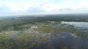 着陸直前に見えた風景。やはりルイジアナは湿地帯なんですね。